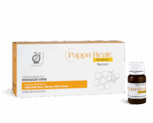 Immagine prodotto PAPPA REALE REGINA 12 FL. 10 ML 