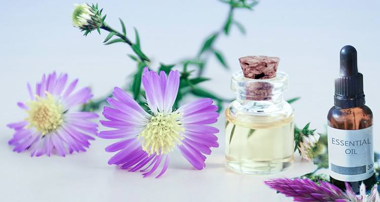 Fitoterapia e prodotti fitoterapici